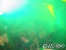 Dateiname : alter_ratskeller_bielefeld_samstag_25032005_IMG_3990.jpg
Dateigröße : 22KB
Abmessungen : 600x450
hinzugefügt am : 29.März 2005 alter_ratskeller_bielefeld_samstag_25032005_IMG_3990.jpg