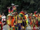 carnival-der-kulturen-bielefeld-2008-hpim02.jpg