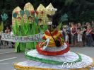 carnival-der-kulturen-bielefeld-2008-hpim144.jpg