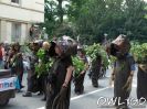 carnival-der-kulturen-bielefeld-2008-hpim46.jpg