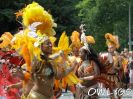 carnival-der-kulturen-bielefeld-2008-hpim61.jpg