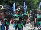 carnival-der-kulturen-bielefeld-2008-hpim73.jpg