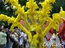 carnival-der-kulturen-bielefeld-2008-hpim85.jpg