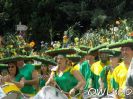 carnival-der-kulturen-bielefeld-2008-hpim98.jpg