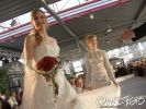 herforder-hochzeitstage-2008-sonntag-cimg0074.jpg