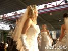 herforder-hochzeitstage-2008-sonntag-cimg0115.jpg