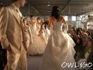 herforder-hochzeitstage-2008-sonntag-cimg0116.jpg