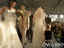 herforder-hochzeitstage-2008-sonntag-cimg0120.jpg