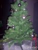 Dateiname : Bild 071.jpg
Dateigröße : 91KB
Abmessungen : 600x800
hinzugefügt am : 05.Dezember 2004 Bild 071.jpg