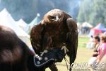 spectaculum-bueckeburg-2007-39.jpg