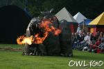 spectaculum-mittelalterfestival-telgte-samstag-18082007-68.jpg