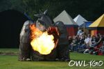 spectaculum-mittelalterfestival-telgte-samstag-18082007-69.jpg