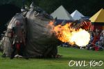 spectaculum-mittelalterfestival-telgte-samstag-18082007-74.jpg