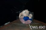 Dateiname : wuzzzenstein_montag_21032005_DCP_4215.jpg
Dateigröße : 25KB
Abmessungen : 600x396
hinzugefügt am : 22.März 2005 wuzzzenstein_montag_21032005_DCP_4215.jpg