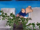 wuzzzenstein_montag_29082005_100_6893.jpg